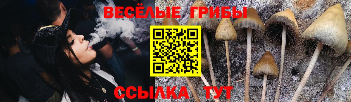 Галлюциногенные грибы GOLDEN TEACHER Нягань